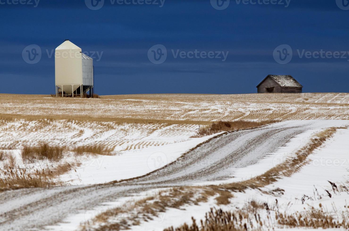 Prairie Landscape in winter photo