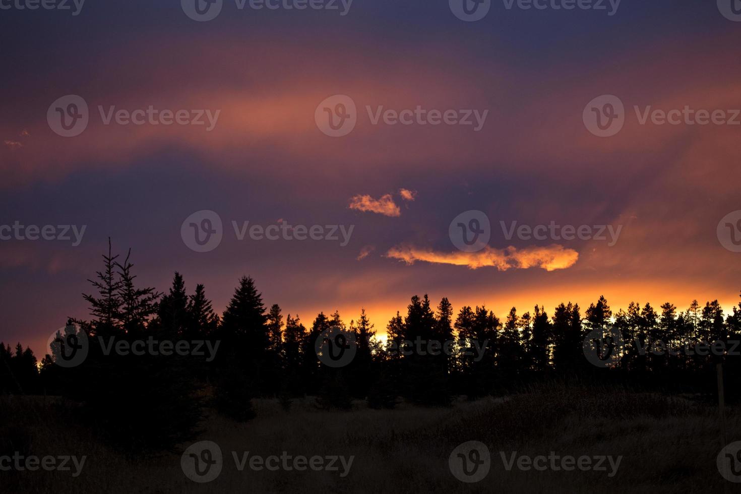 puesta de sol de las colinas de cipreses foto