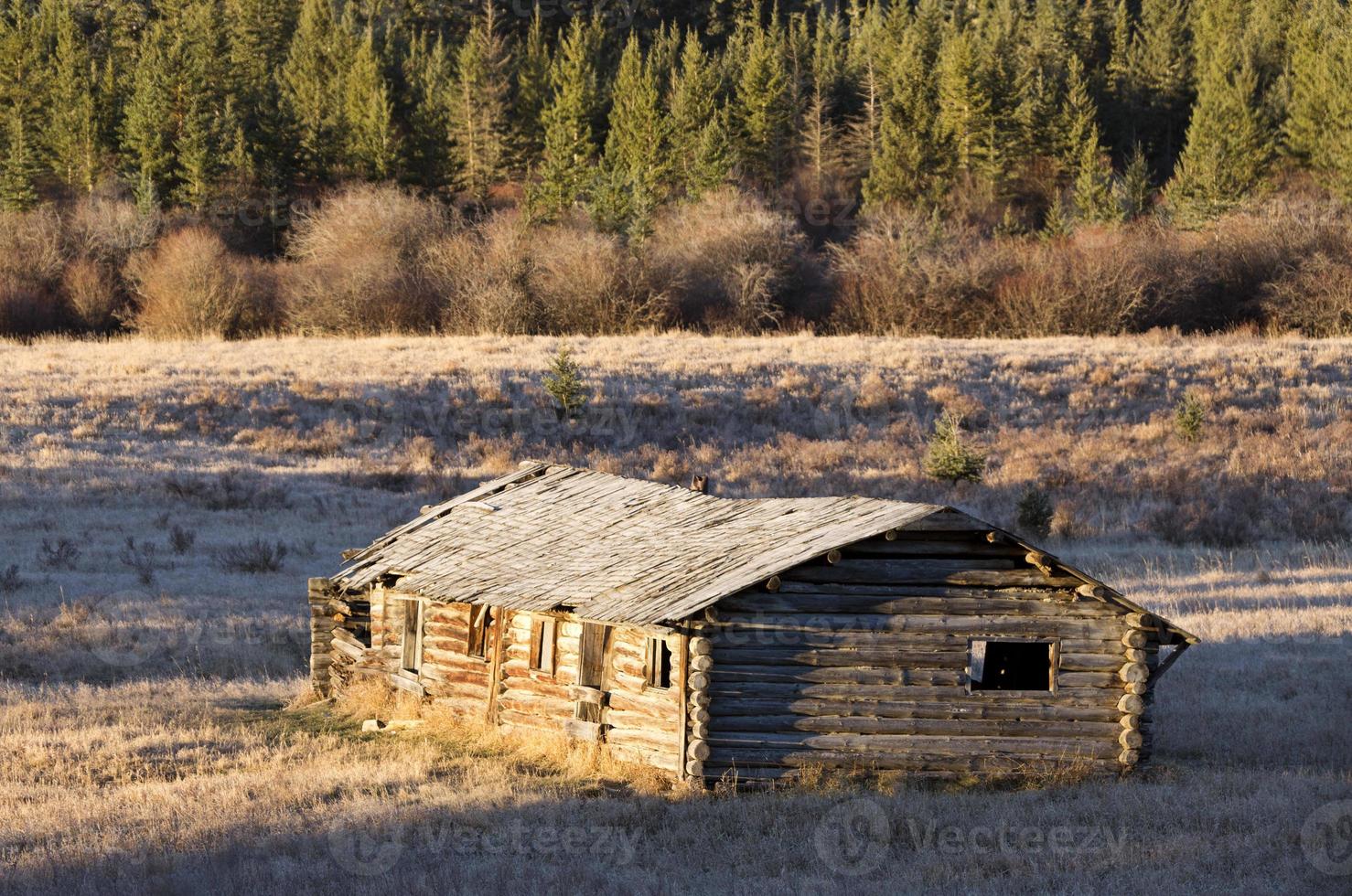 Cypress Hills Alberta Saskatchewan 5465681 Stock Photo at Vecteezy