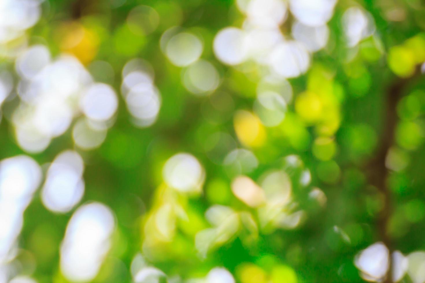 Abstract green bokeh light background 5468884 Stock Photo at Vecteezy