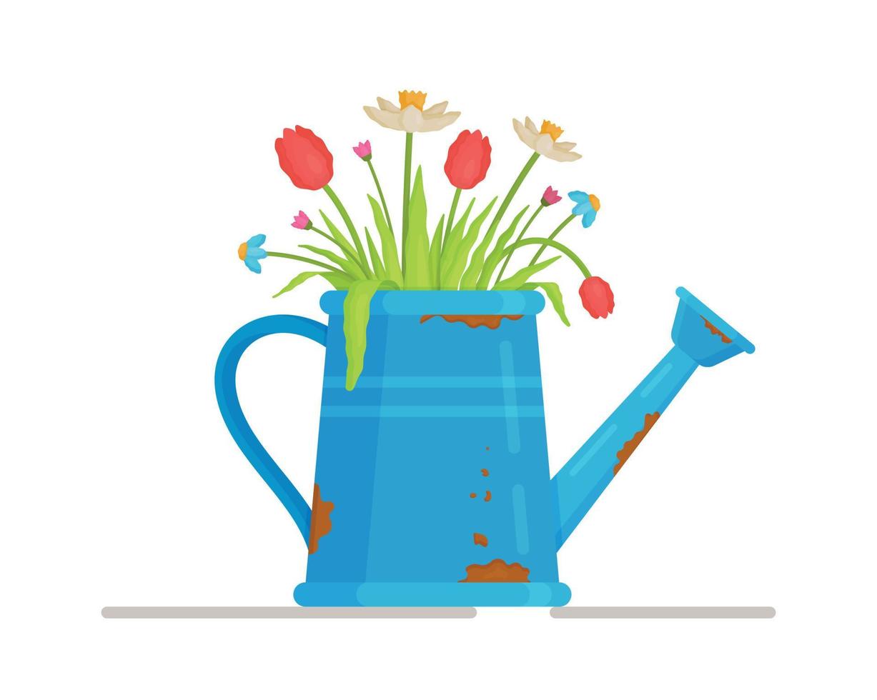Vector illustration of spring flowers in a watering can. Picking a flower in the garden in a field of flowers.