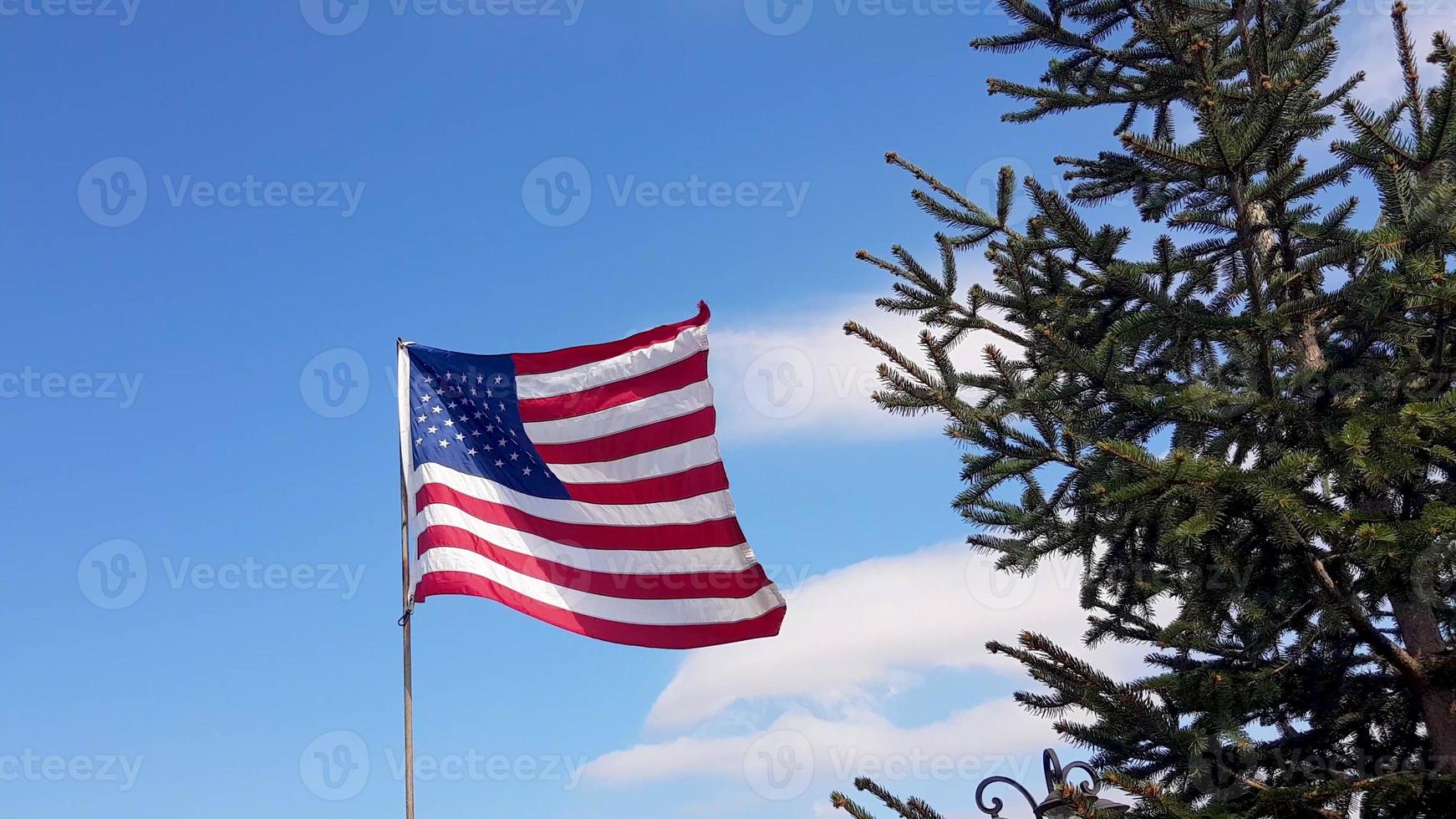 American Flag blowing in the wind with a blue sky background. USA American Flag. Waving United states of America famous flag in front of blue sky and green pine. Memorial Day - American concept. photo
