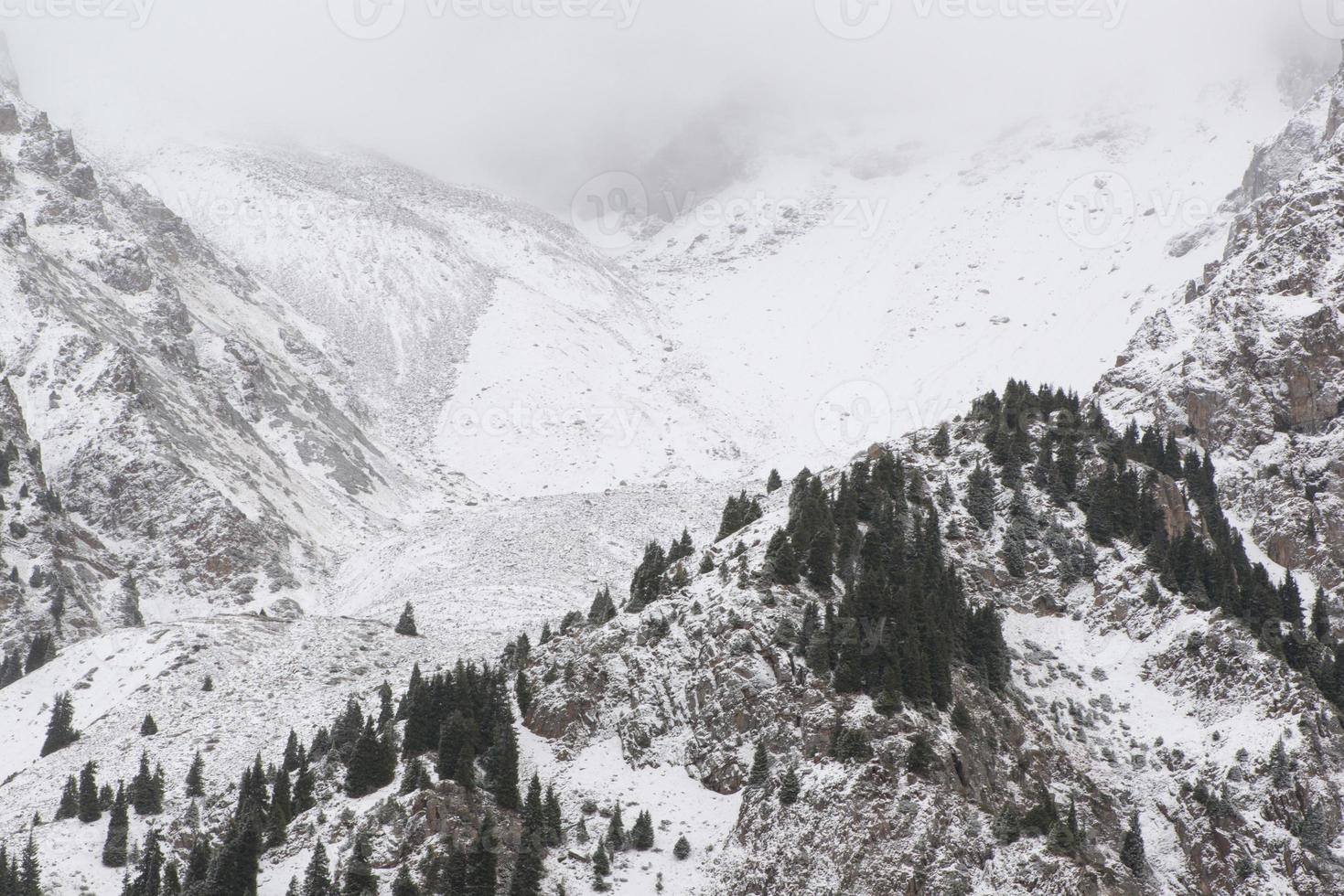 landscape of winter rocky mountains with fog photo