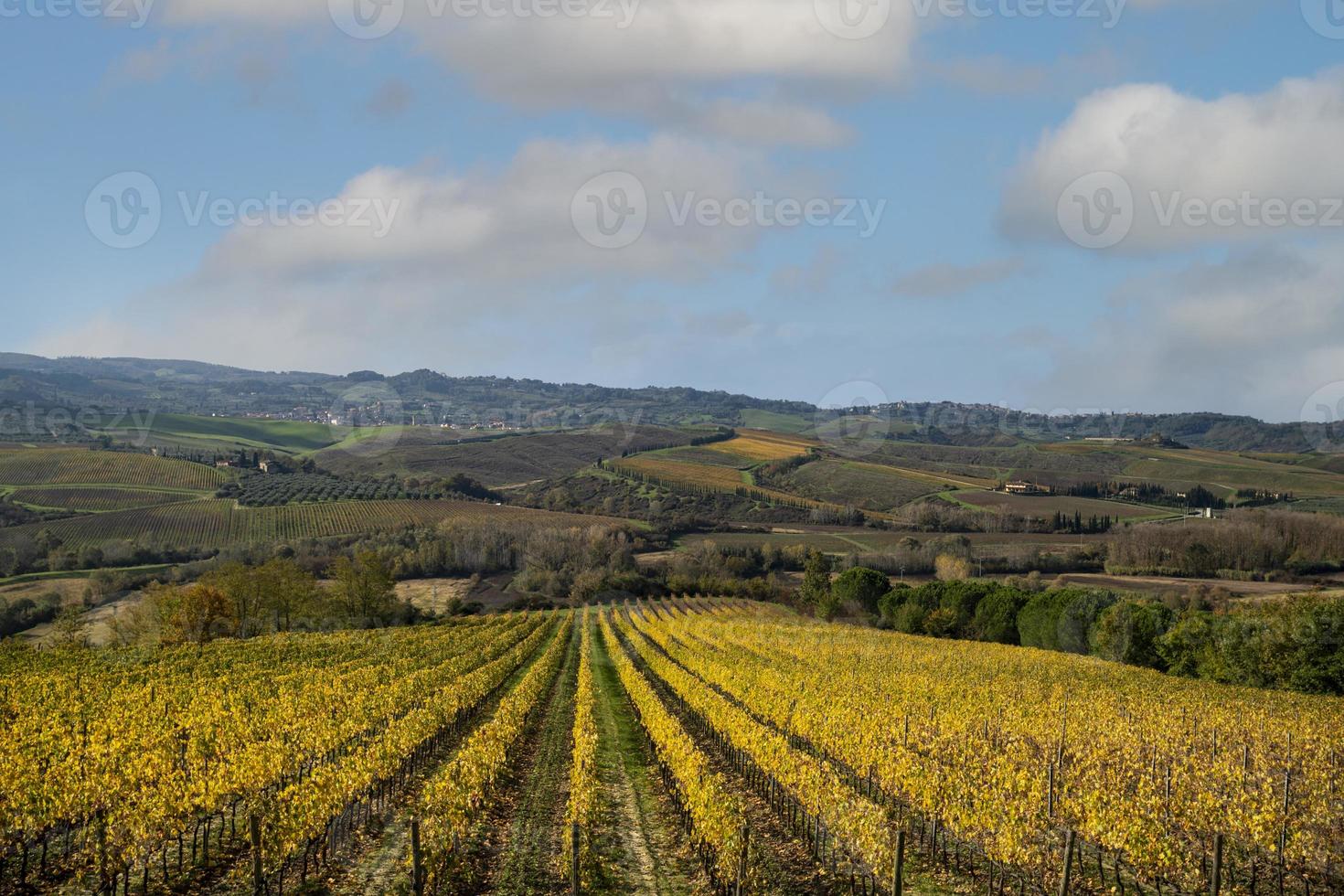 una vista de la campiña toscana con viñedos en primer plano foto