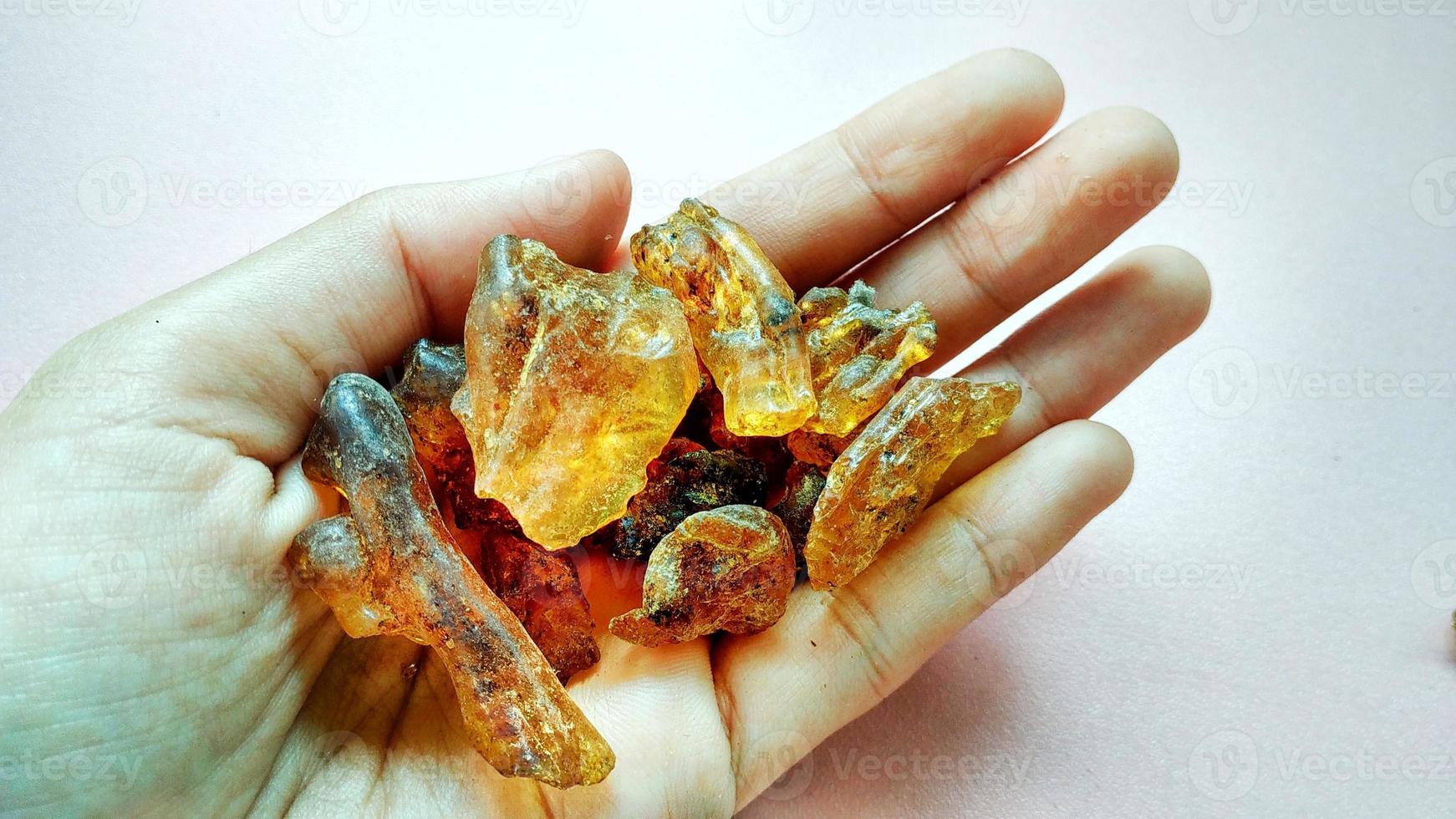 Resin sap is a natural sap from the Agathis borneensis tree, yellow light from central java, Indonesia photo