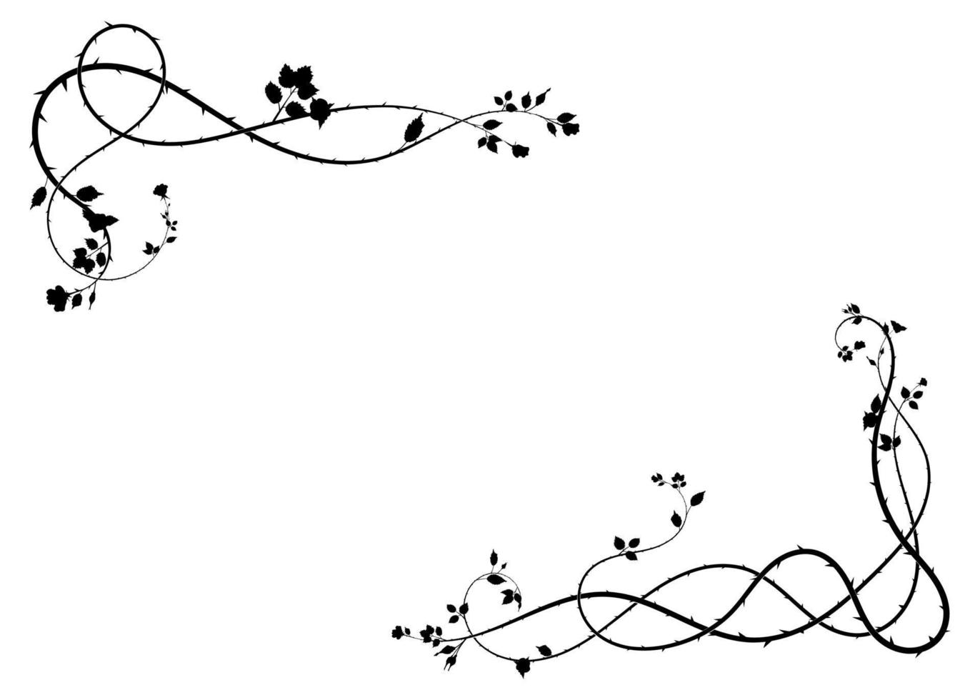 simple frame flowers and thorns plant on white new vector