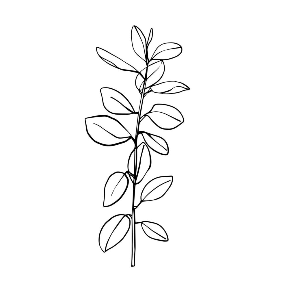 Leaves and tropical palm tree line foliage isolated on white background. vector design