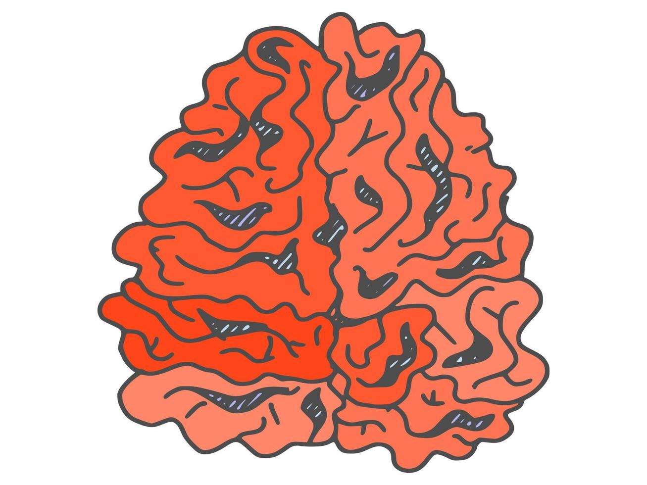 órgano humano del cerebro. garabato, bosquejo, vector