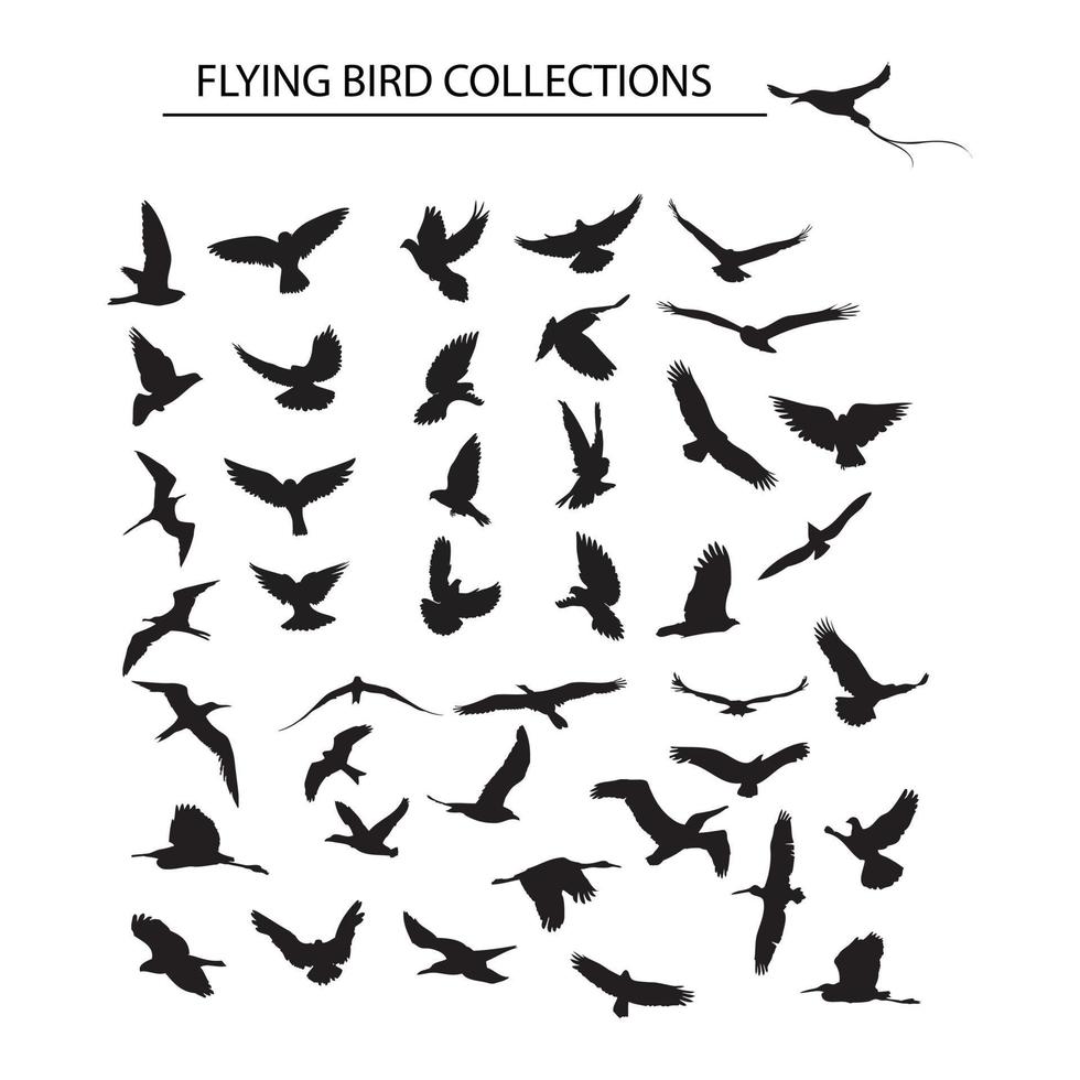 set of flying bird logo design vector