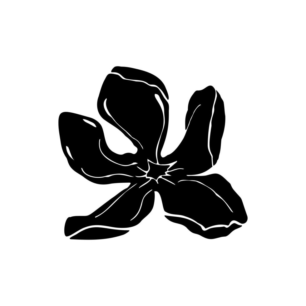 cabeza de flor de magnolia, elementos dibujados a mano para el diseño de la tarjeta de boda e invitación.aislar sobre fondo blanco vector