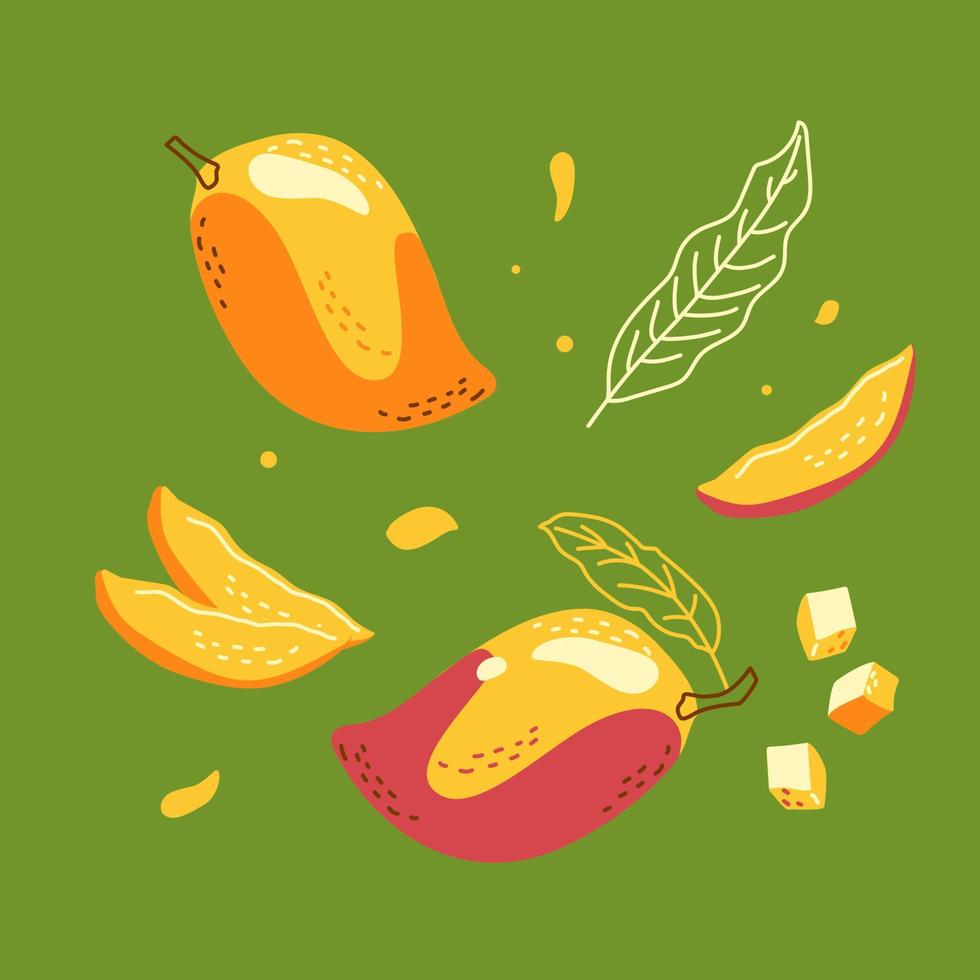 un conjunto de jugosos mangos enteros y cortados en trozos vector