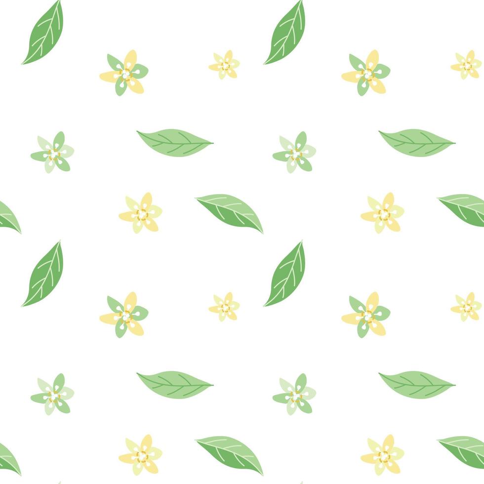 Seamless summer pattern of delicate avocado flowers and leaves vector