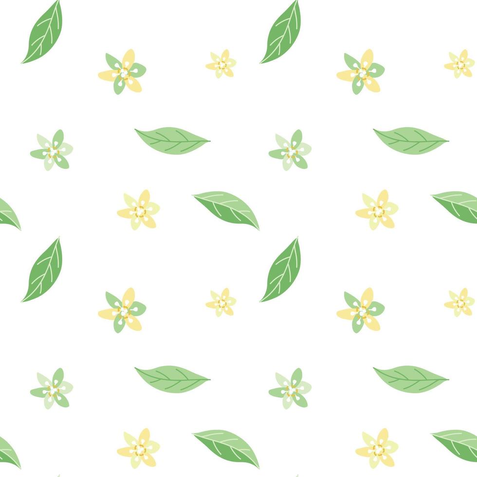 Seamless summer pattern of delicate avocado flowers and leaves vector