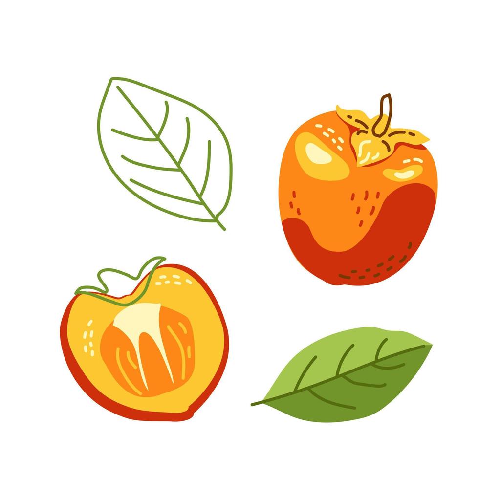 Juicy persimmon for a healthy diet vector