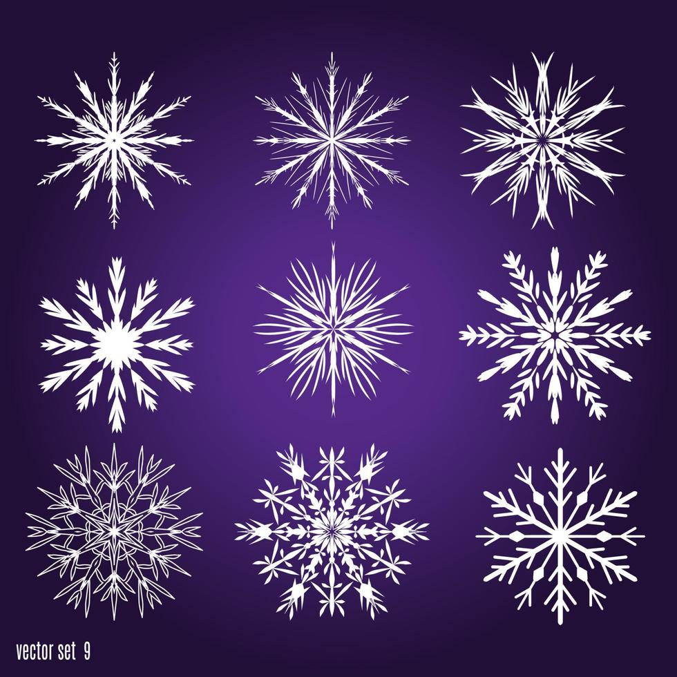 Set 9 white different snowflakes vector
