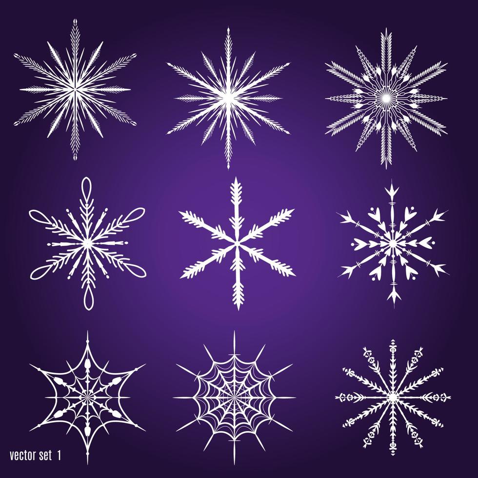 Set 9 white different snowflakes vector