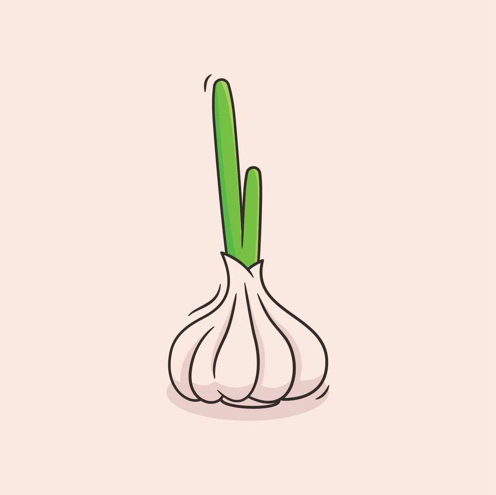 vector graphic of Garlic Seed