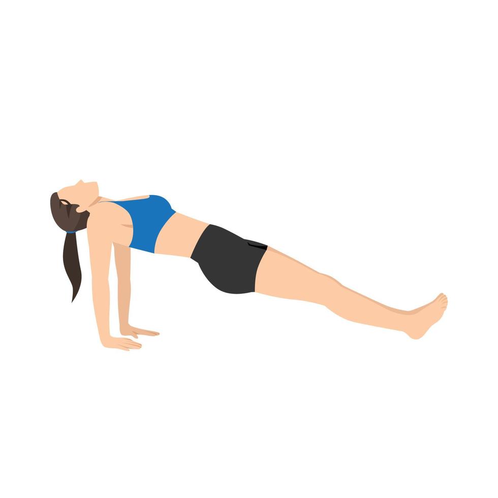 Woman doing upward plank pose purvottanasana exercise. Flat vector illustration isolated on white background