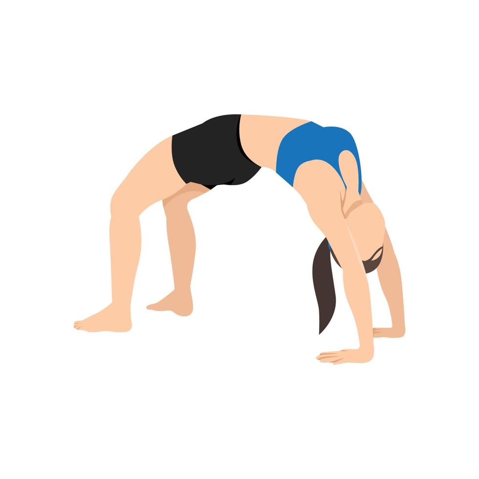 Woman doing wheel pose urdhva dhanurasana exercise. Flat vector illustration isolated on white background