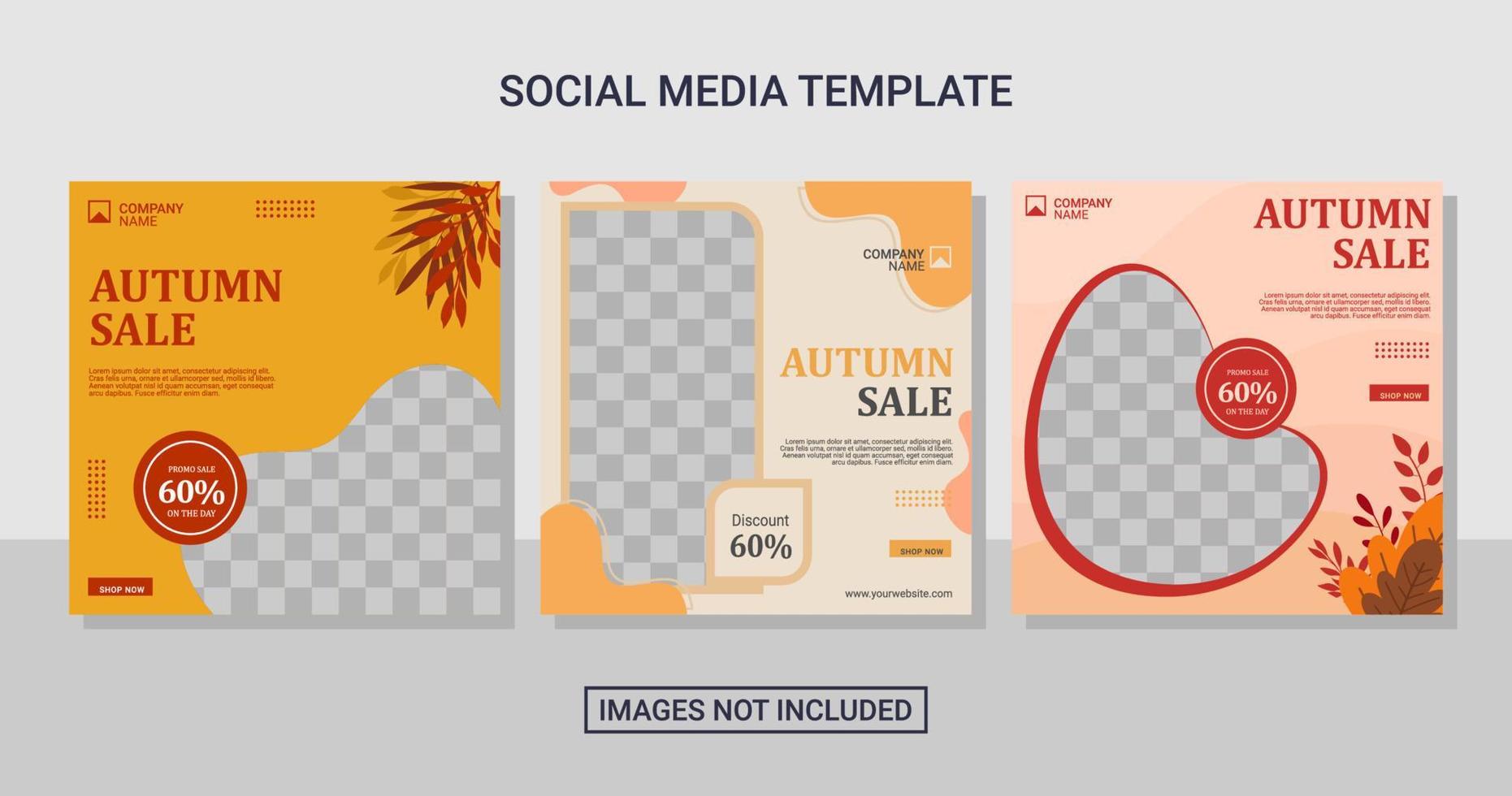 social media post template vector