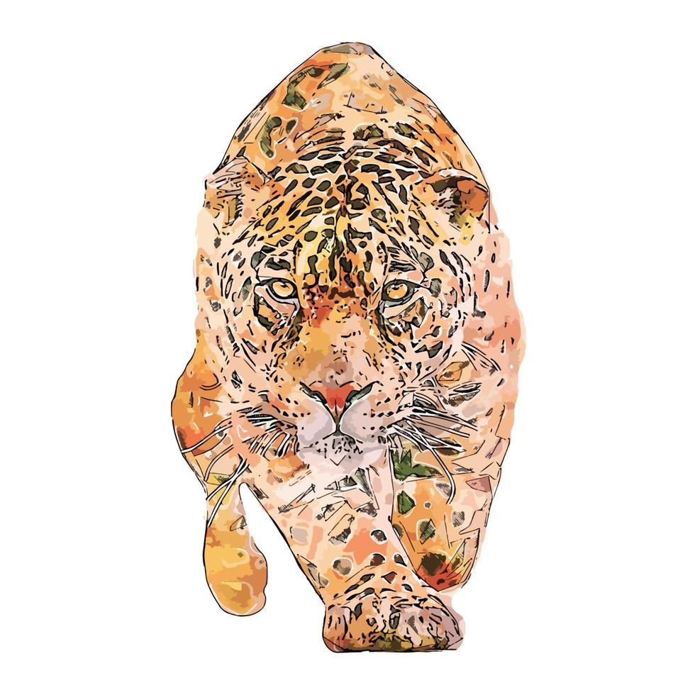 Jaguar animal watercolor sketch hand drawn illustration isolated white background vector