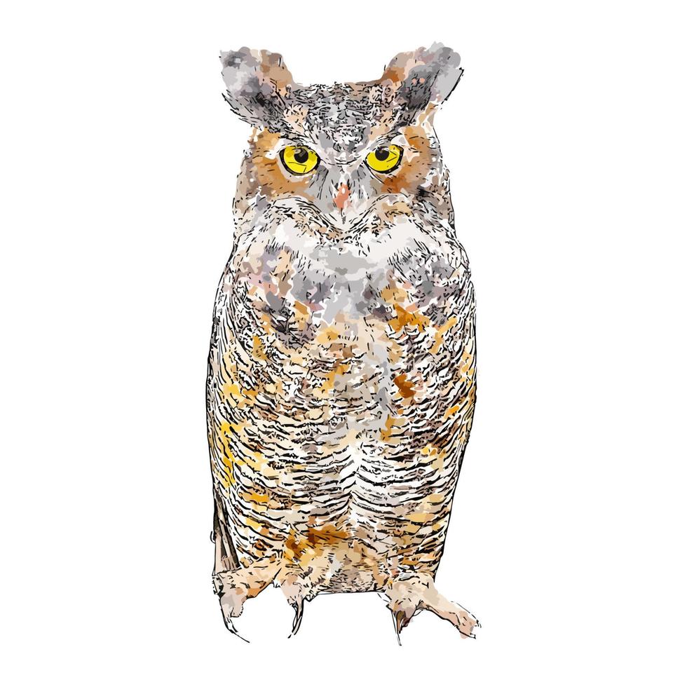 Owl bird animal watercolor sketch hand drawn illustration isolated white background vector