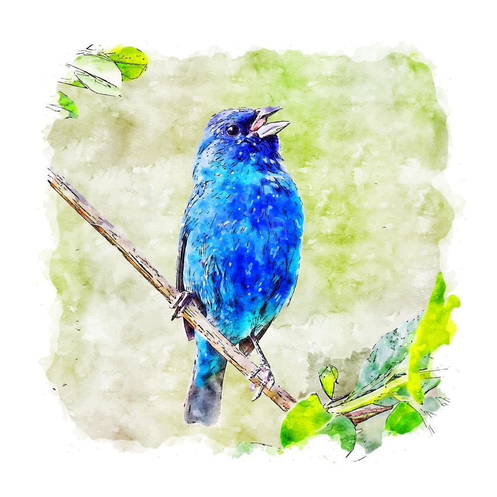 Blue Bird Animal Watercolor sketch hand drawn illustration vector