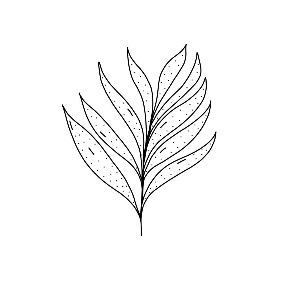 icono de planta dibujado a mano en estilo de fideos. icono de vector de planta de dibujos animados para diseño web aislado sobre fondo blanco.