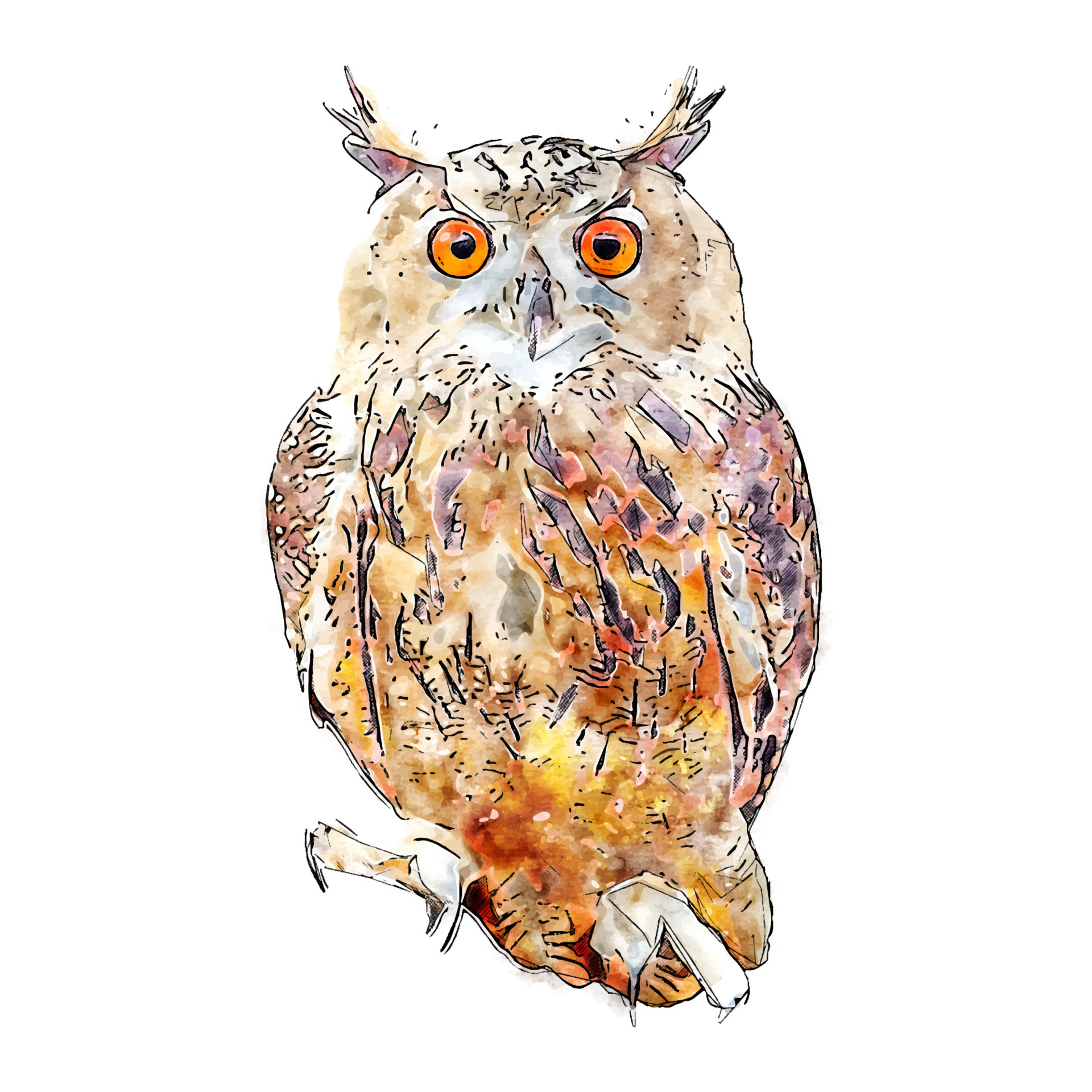 Owl bird animal watercolor sketch hand drawn illustration isolated white  background 5478691 Vector Art at Vecteezy