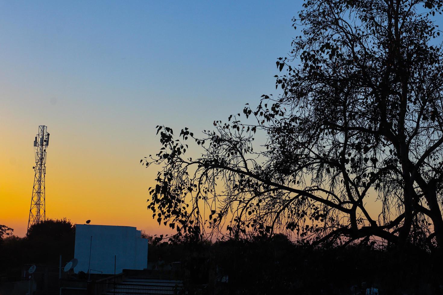 sunset or sunrise view behind green leaf photo