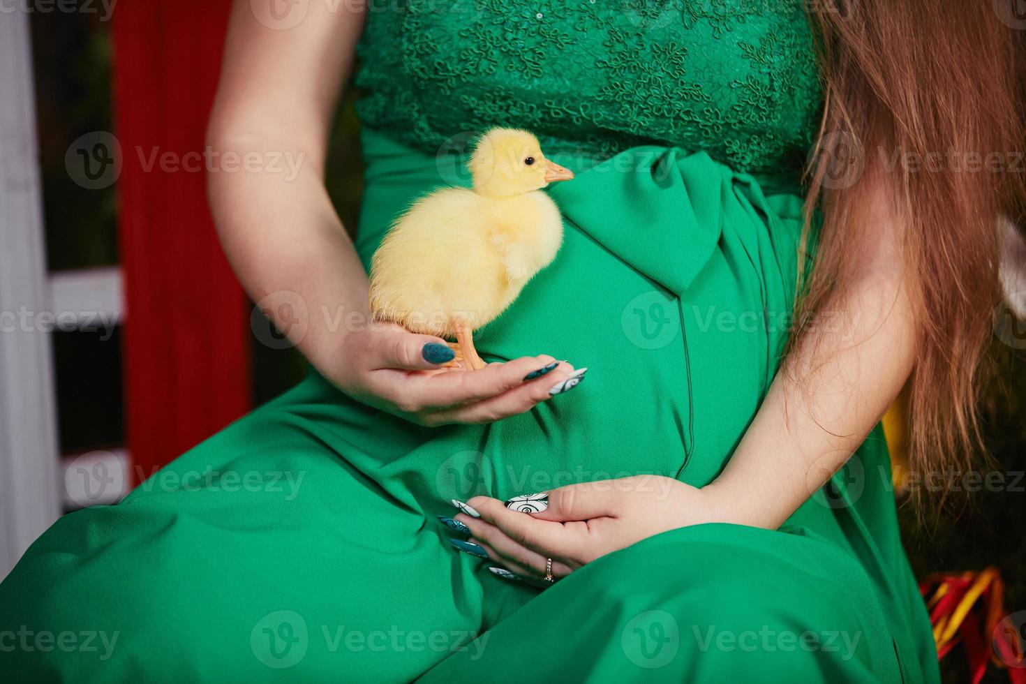 pregnant woman lies, on the belly of a small yellow duckling duck photo