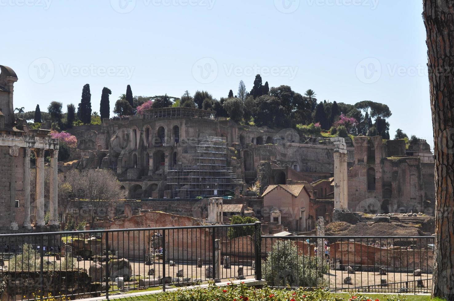 Roman Forum, Rome photo