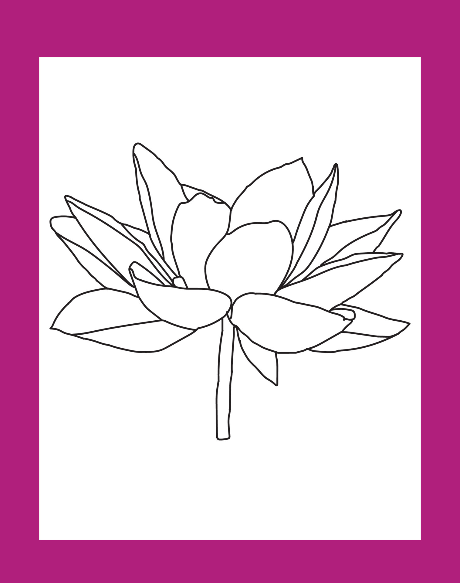 How To Draw Lotus Flower | Simple Step-By-Step Guide With Images