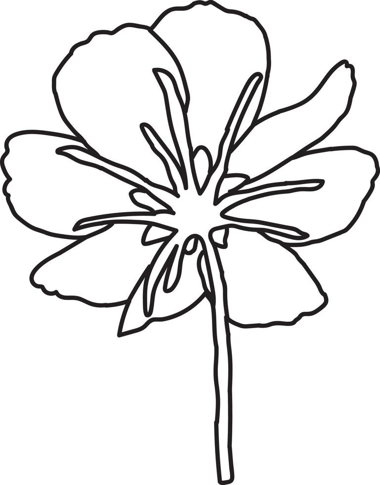 flor rosa cosmea para colorear para niños vector