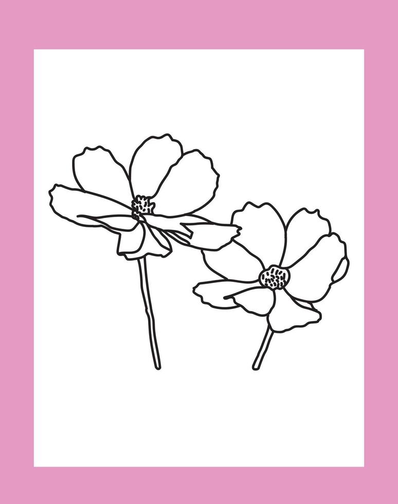 cosmos flower coloring page for kids vector