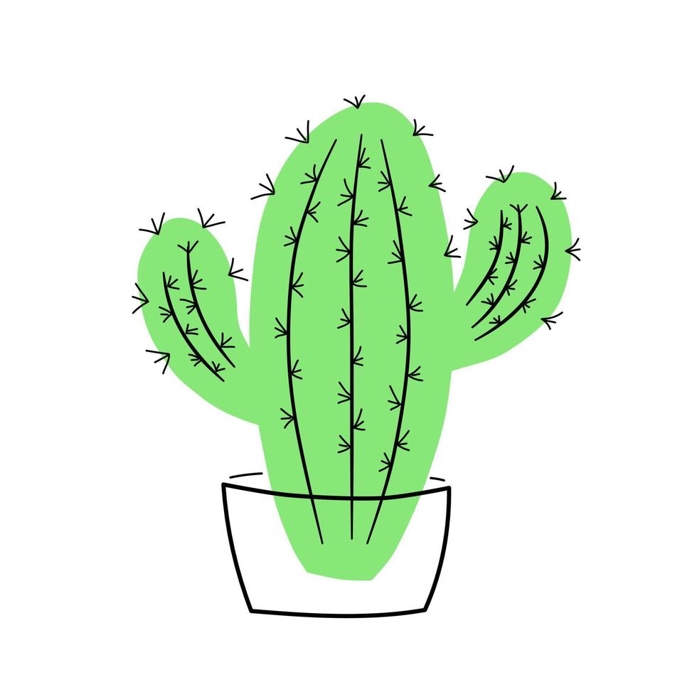Green cactus in a pot vector