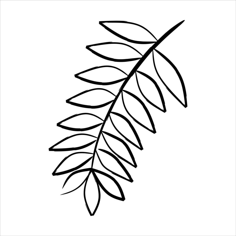 elemento de diseño de hojas tropicales en blanco y negro vector