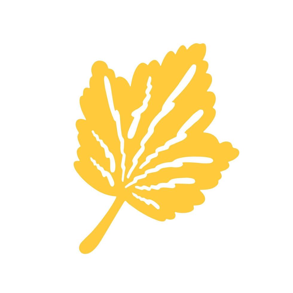Colorful autumn leaf on a white background vector