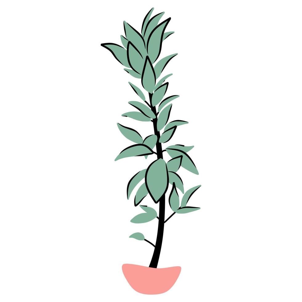 House plant in a pot vector