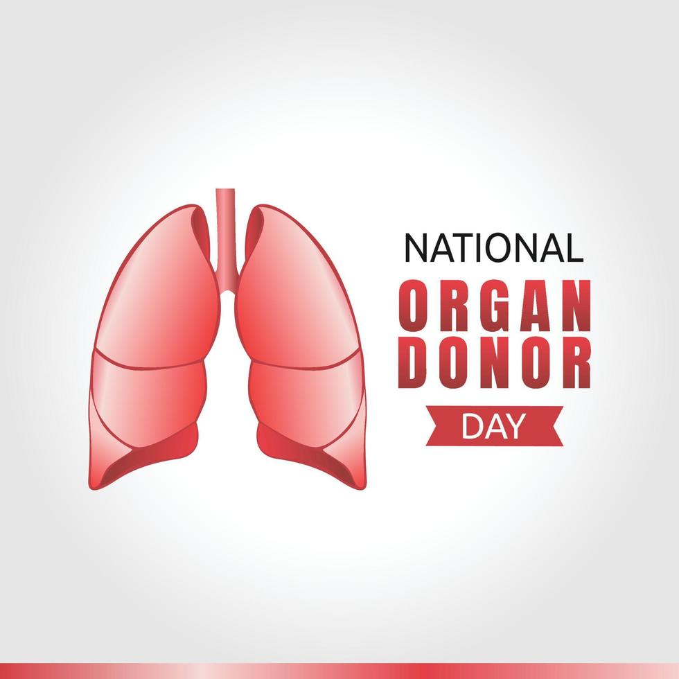 national organ donor day vector illustration