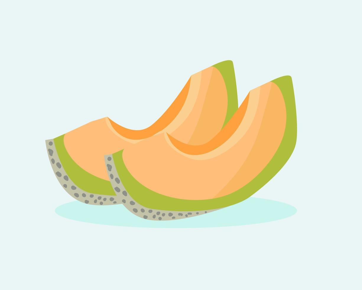 Fresh fruit. Two pieces of Cantaloupe. Cartoon vector style for your design