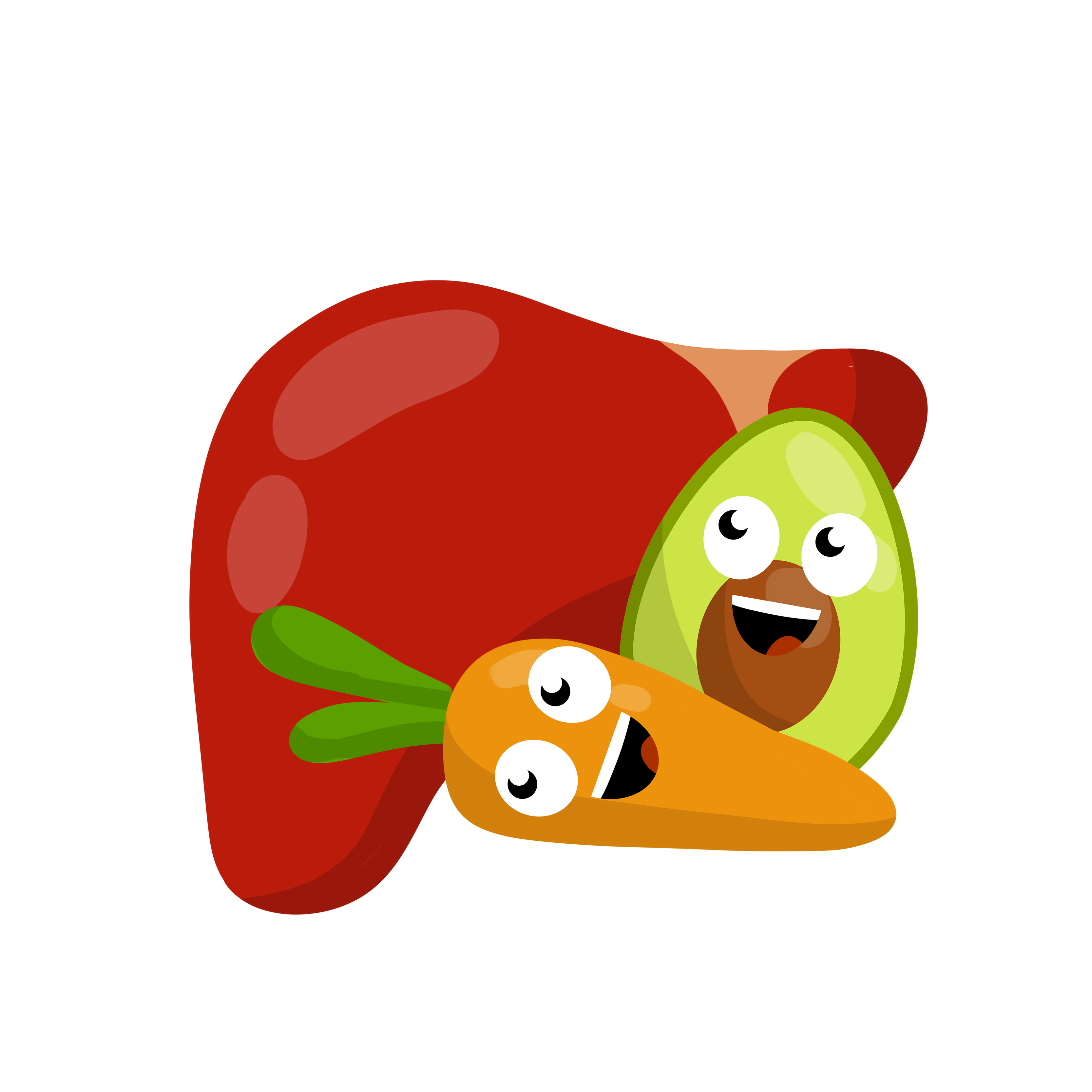 Healthy liver. Human organ. Smile and emotions of the character. Good nutrition and diet. Cartoon flat illustration. Healthy Vegetables and fruits - carrots and avocados 5483036 Vector Art at Vecteezy Healthy liver. Human organ. Smile and emotions of the character. Good nutrition and diet. Cartoon flat illustration. Healthy Vegetables and fruits - carrots and avocados 5483036 Vector Art at Vecteezy