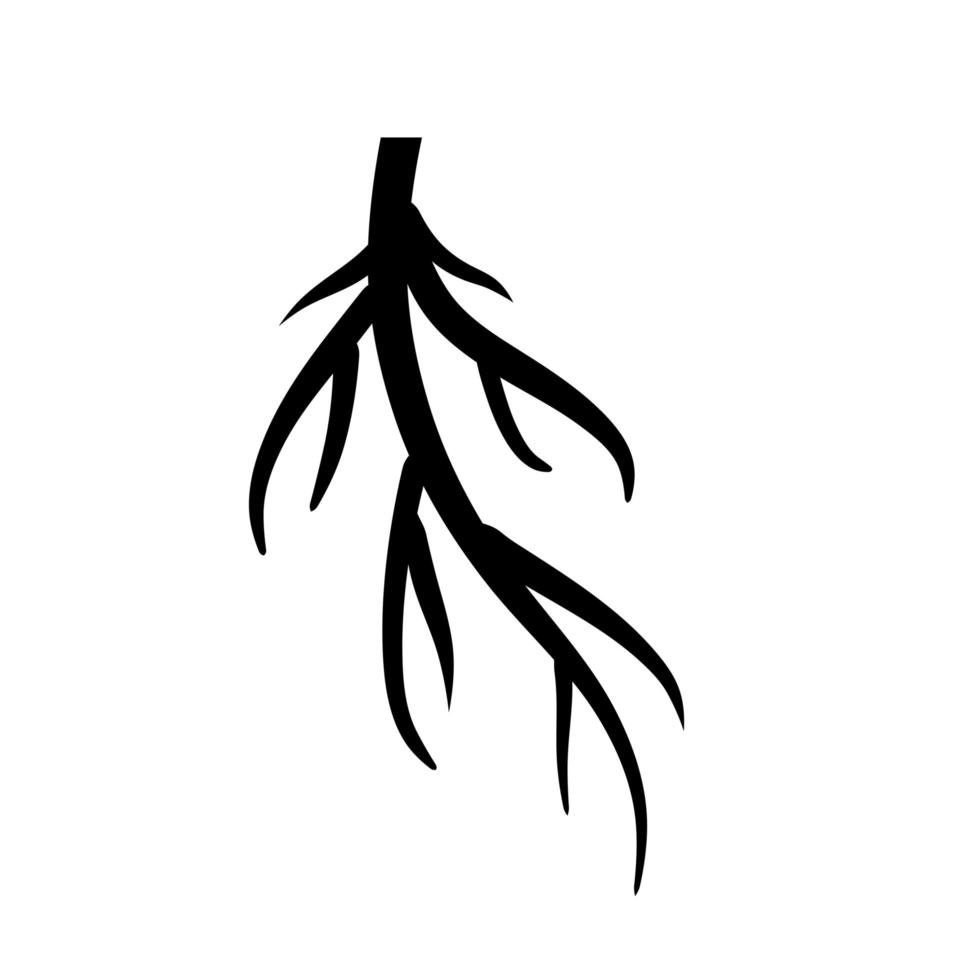 Root. Underground part of plant. Black icon. vector