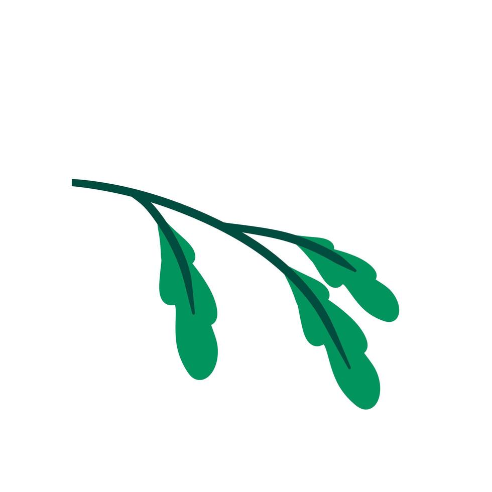 Branch with green leaves. Plant design. Element of wood and nature vector