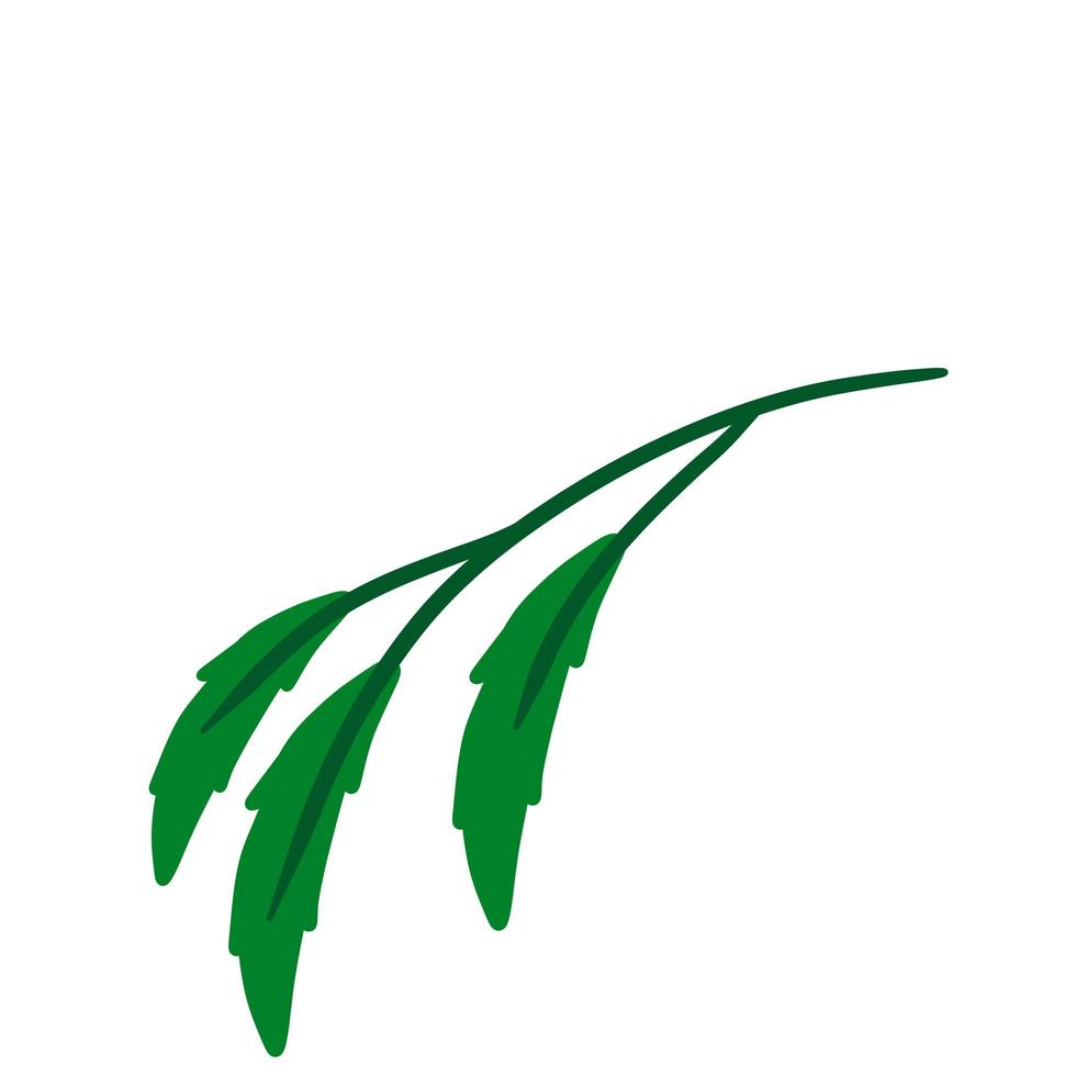 Branch with green leaves. Plant design. vector
