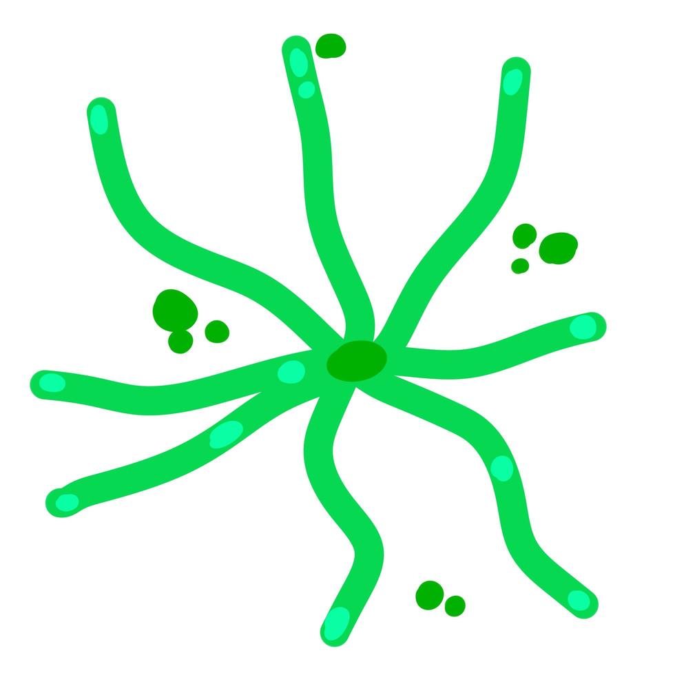 Microalgae. Aquatic organisms and bacteria. Green phytoplankton. vector