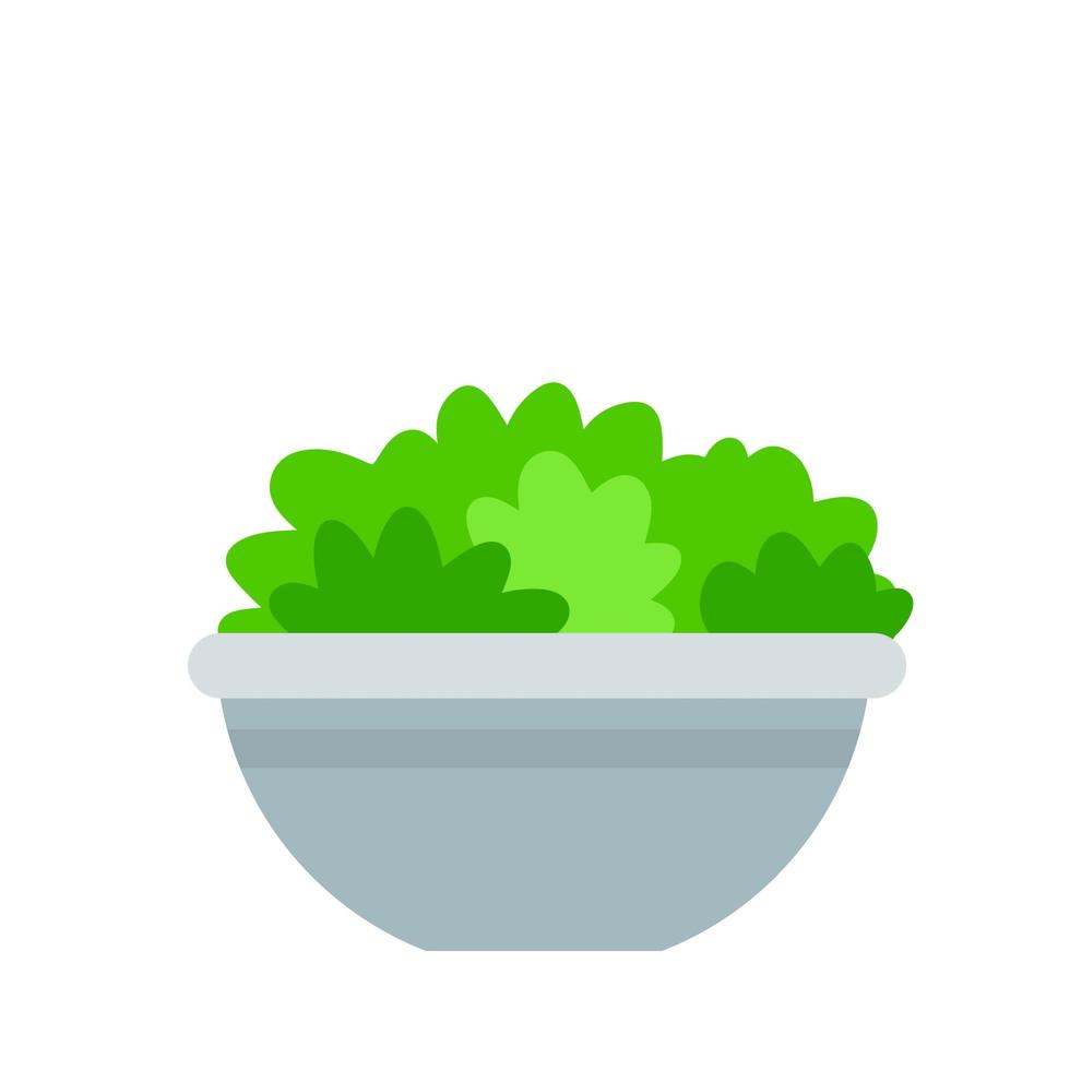 Vegetable salad with green leaves in plate. vector