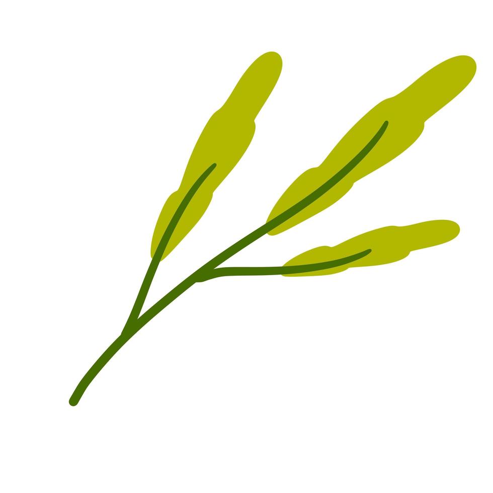 Branch with green leaves. Plant design vector