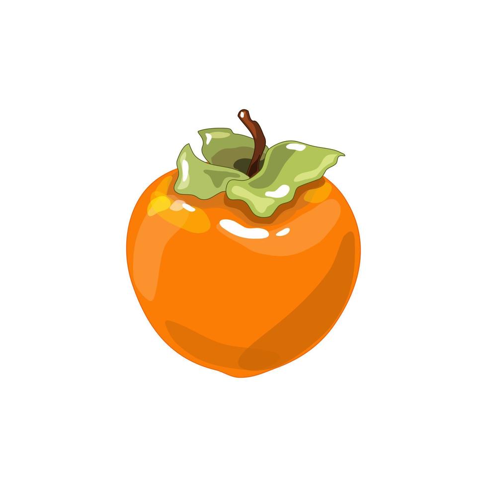 Juicy vector persimmon on a white isolated background.