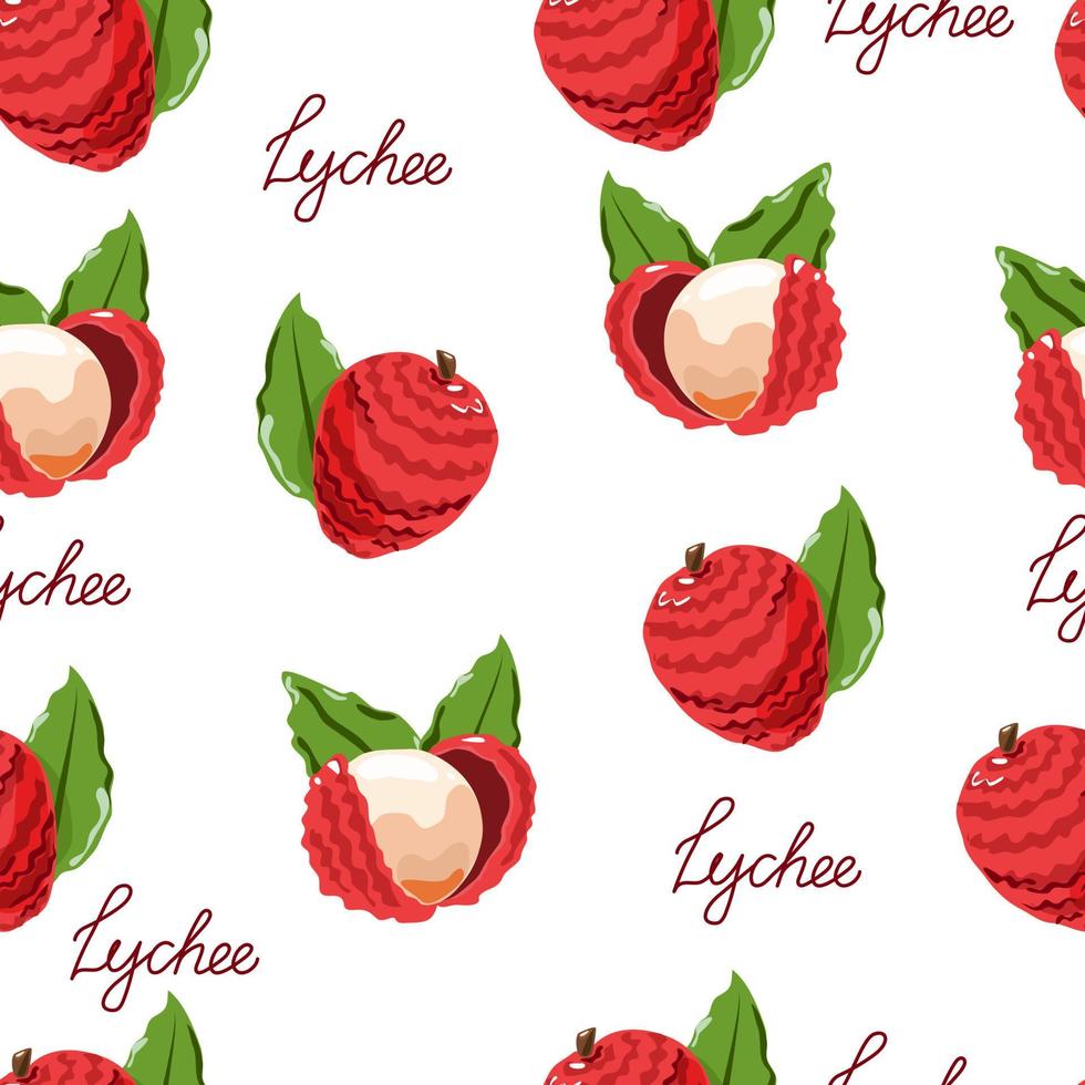 Litchi seamless pattern. Vector on a white isolated background.